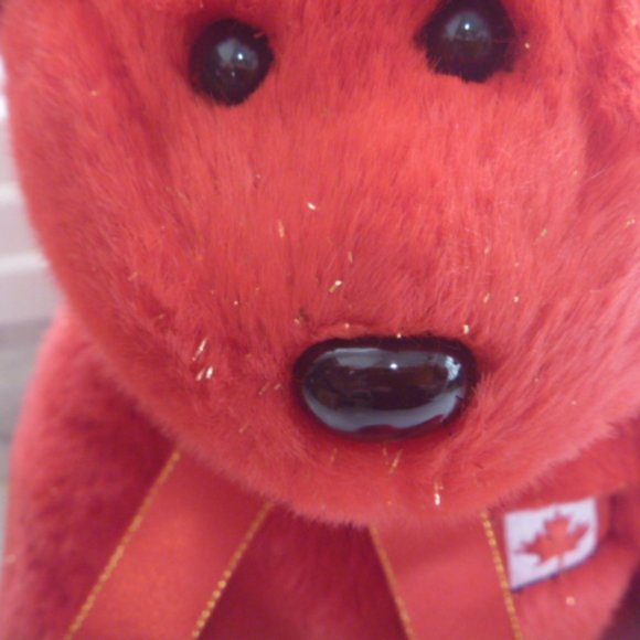 TY Beanie Buddy - PIERRE (Special Olympics Edition) - Picture 2 of 8